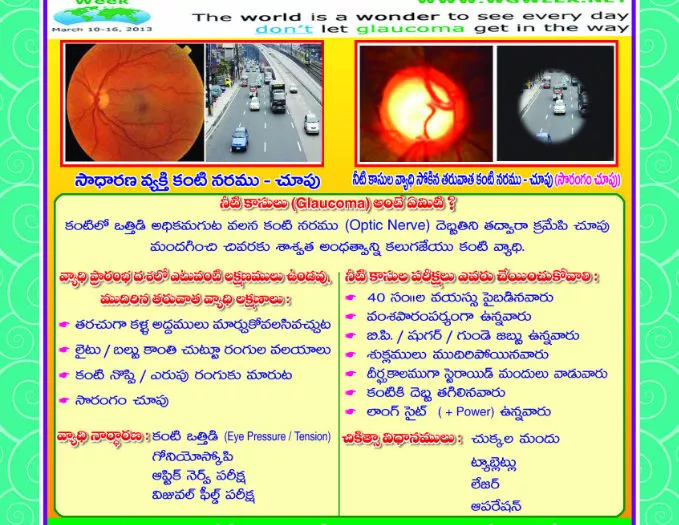 Inde - Vijayawada Great_project_glaucoma_awareness_telugu.psd Vision for All